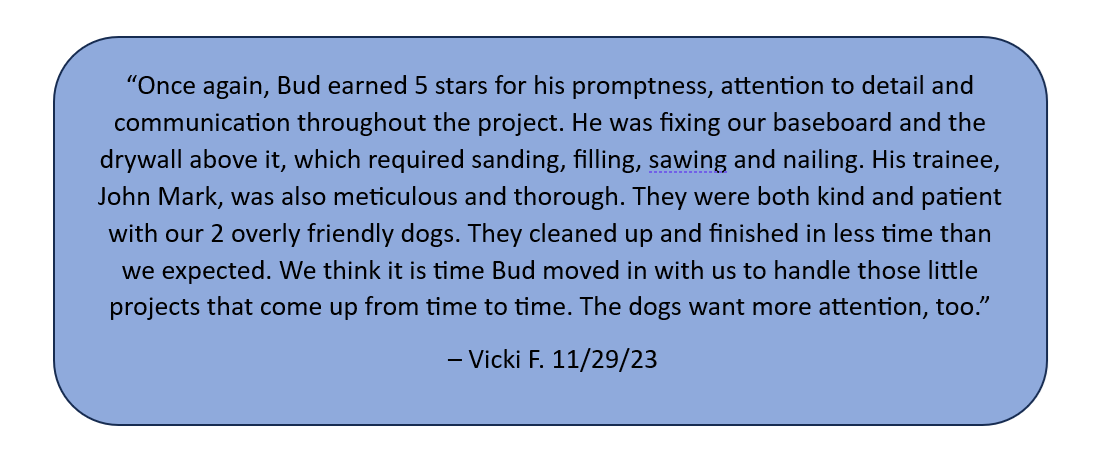 Ace Handyman Fox valley customer review 11.29.2023