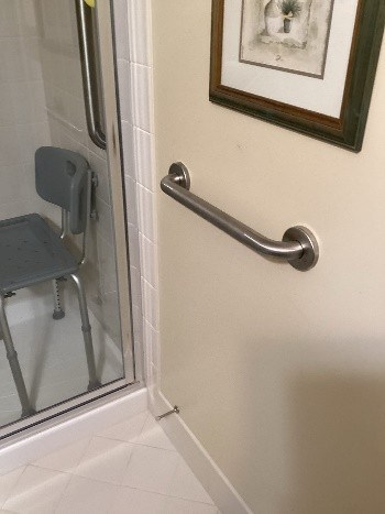 https://acehandyman-dss.ingeniuxondemand.com/Images/Offices/Illinois/Fox Valley/Blog/Something Secure bathroom 2.jpg Grab bar outside the shower