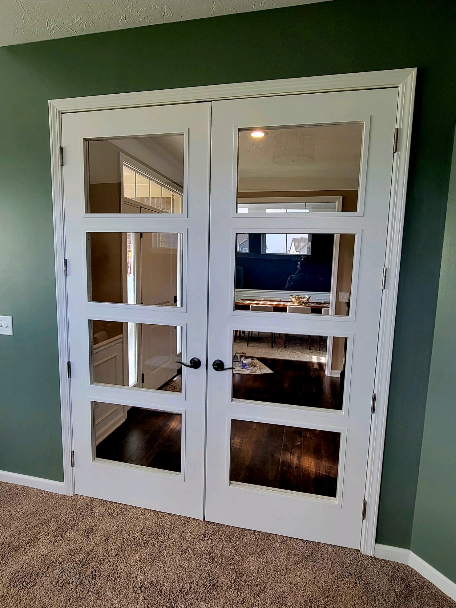 White double doors with glass panels, green wall background.