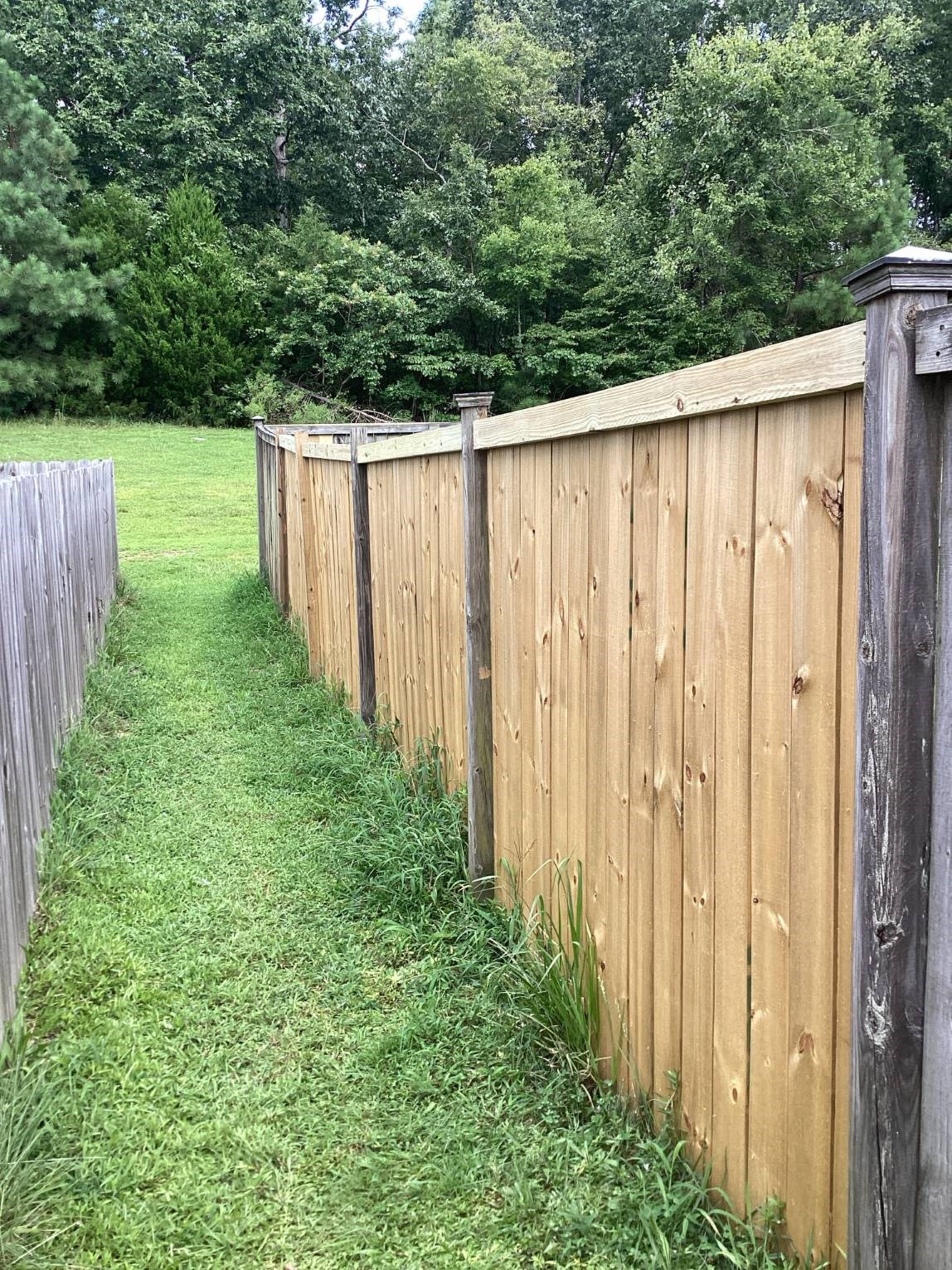 Wood privacy fence repair in Durham with new pine panels beside weathered gray boards