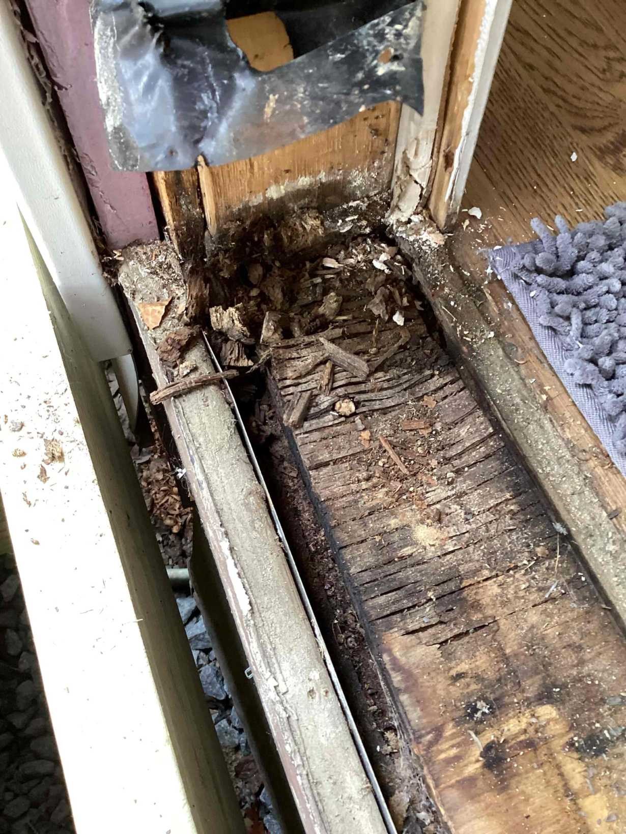 https://acehandyman-dss.ingeniuxondemand.com/Images/Offices/North Carolina/Greater Triangle/Photos/24236822-severe-exterior-door-threshold-wood-rot-before-repair-apex-nc-ace-handyman-services.jpg Severe wood rot at the threshold of an exterior door before repair at an Apex, NC home by Ace Handyman Services