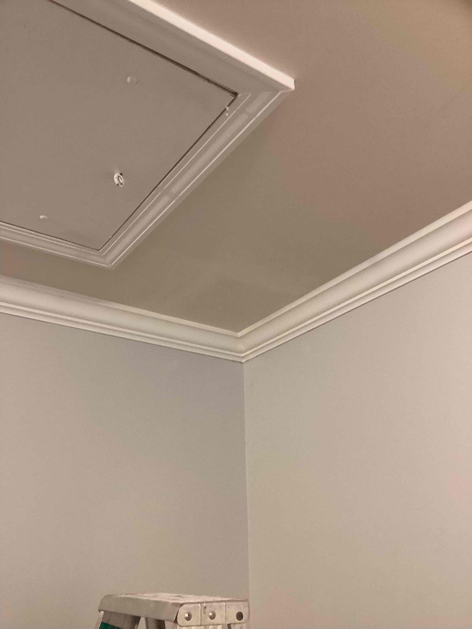 Completed drywall ceiling repair and repaint in Durham NC 27713