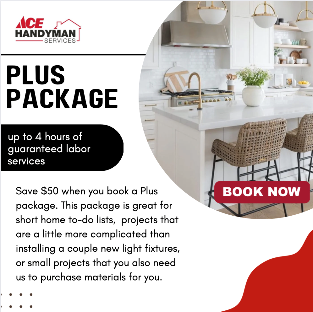 Ace Handyman Services Portland Plus Package promotion
