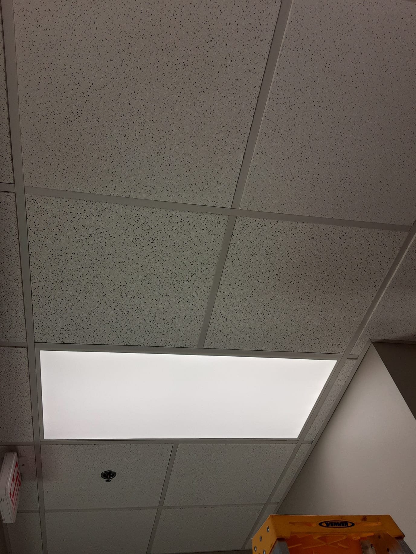 Ceiling tiles with fluorescent light fixture in office space.