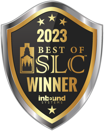 Ace Handyman Services Salt Lake City East Best Handyman Services 2023