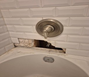 https://acehandyman-dss.ingeniuxondemand.com/Images/Offices/Virginia/Ashburn/Bathroom Tile.jpg