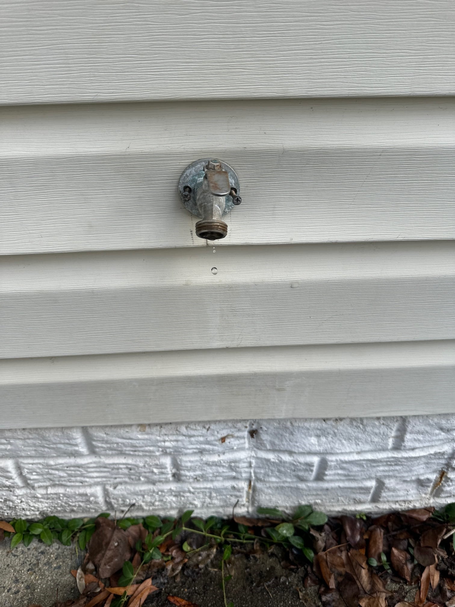 Outdoor wall faucet on white siding above leaves and bricks.