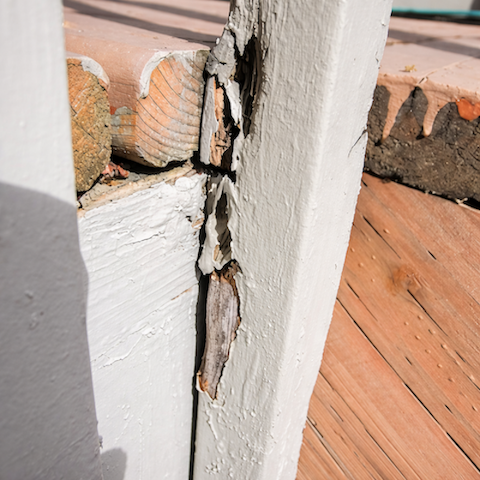 https://acehandyman-dss.ingeniuxondemand.com/Images/Offices/Washington/Vancouver/images/blogs/ahs-vancouver_deck-railing-repair_winter-damage.png vancouver wa winter damage deck stair railing repair